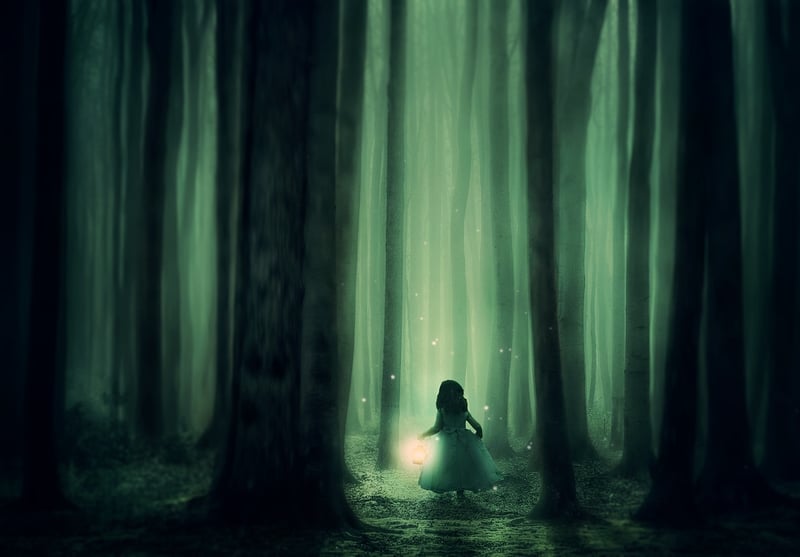 Enchanted Forest